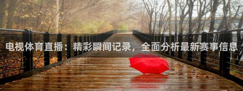 电视体育直播：精彩瞬间记录，全面分析最新赛事信息